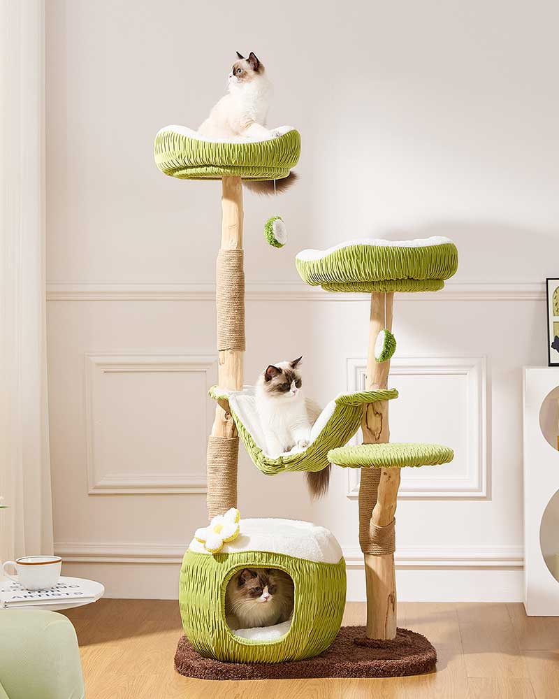 Coconut Green Solid Wood Hammock Cat Tree – MEWLANDS