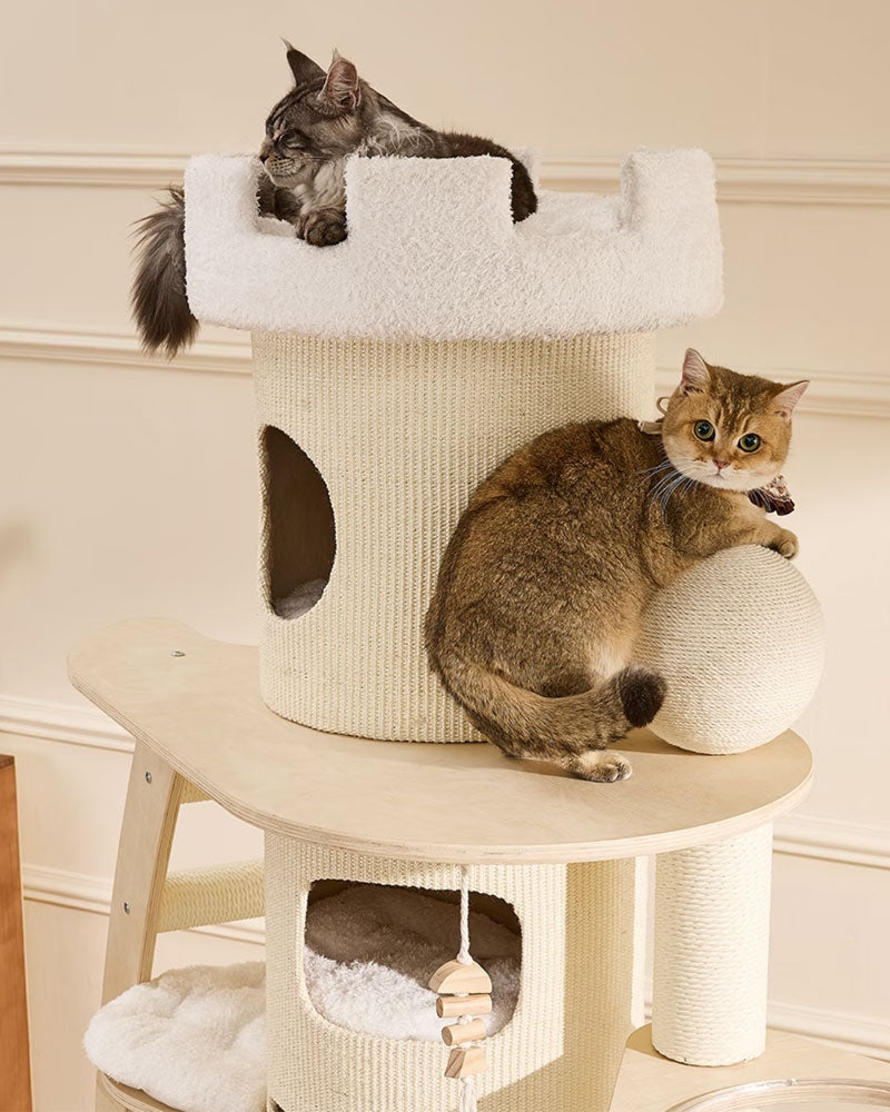 66” Large Cat Tree Tower with Cloud Steps
