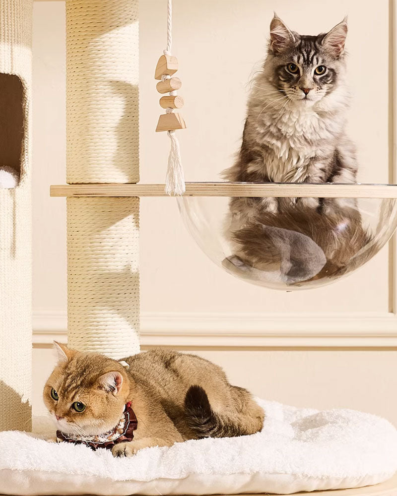 66” Large Cat Tree Tower with Cloud Steps