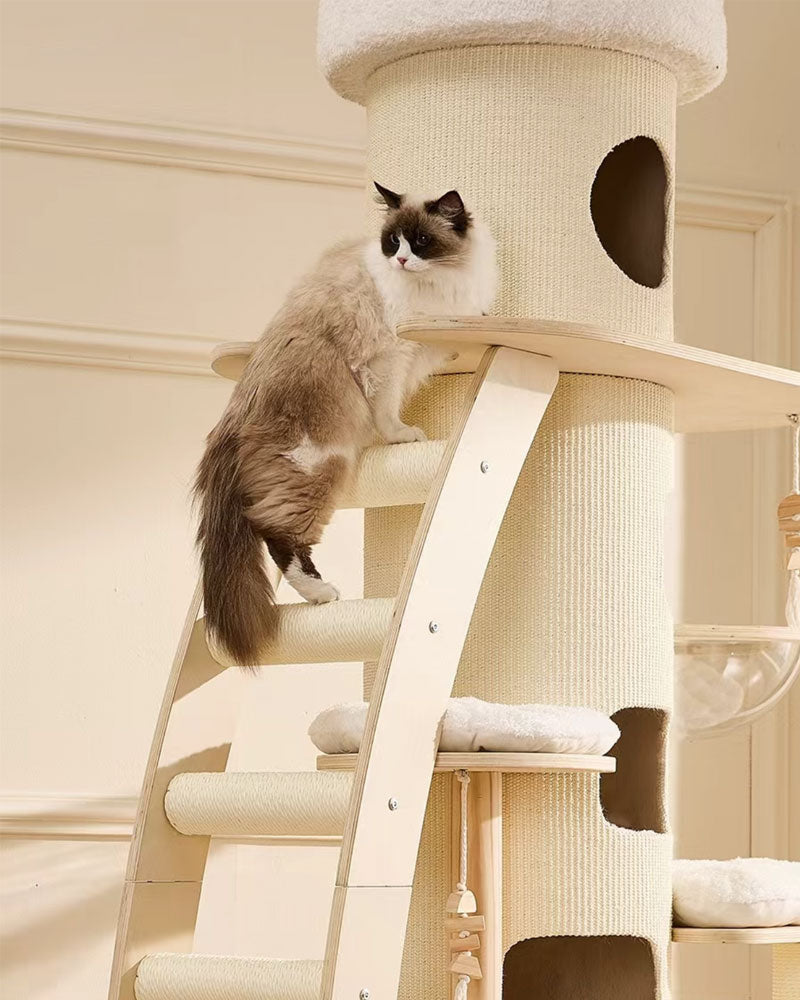 66” Large Cat Tree Tower with Cloud Steps