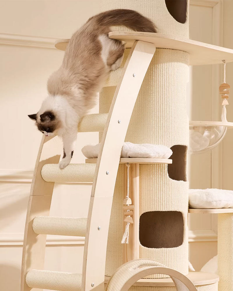 66” Large Cat Tree Tower with Cloud Steps