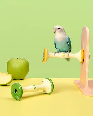 Apple Core Parrot Perch Nail Grinding Stand