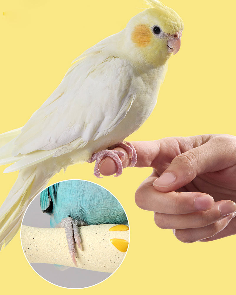 Apple Core Parrot Perch Nail Grinding Stand