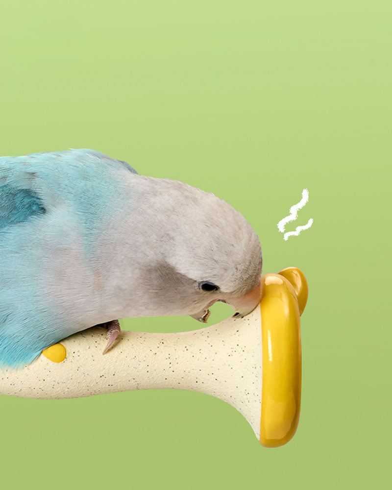 Apple Core Parrot Perch Nail Grinding Stand