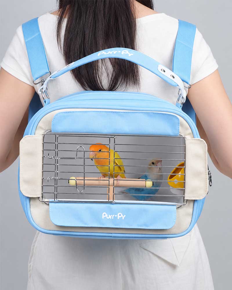 Candy Box Portable Parrot Travel Carrier Bag