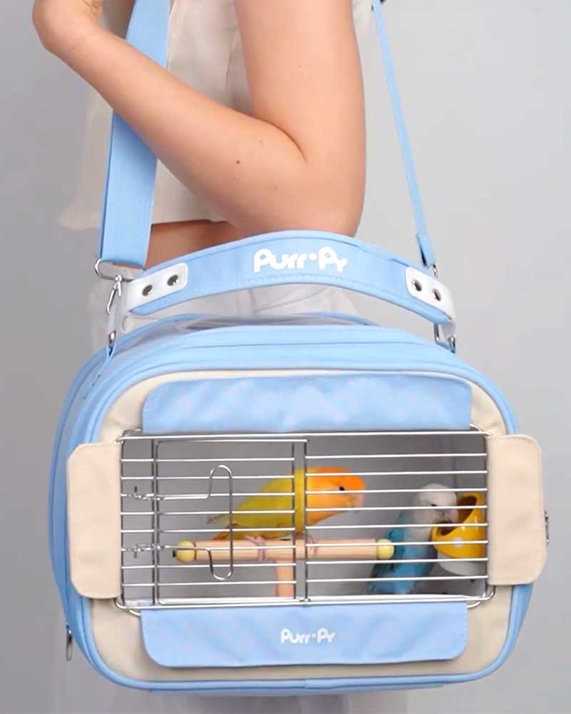 Candy Box Portable Parrot Travel Carrier Bag