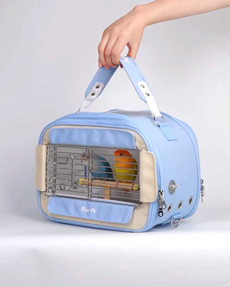 Candy Box Portable Parrot Travel Carrier Bag