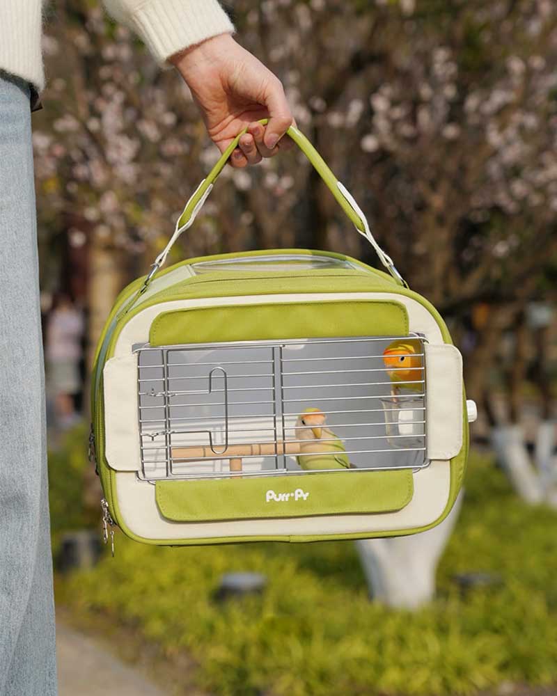 Candy Box Portable Parrot Travel Carrier Bag