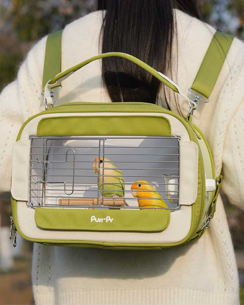 Candy Box Portable Parrot Travel Carrier Bag