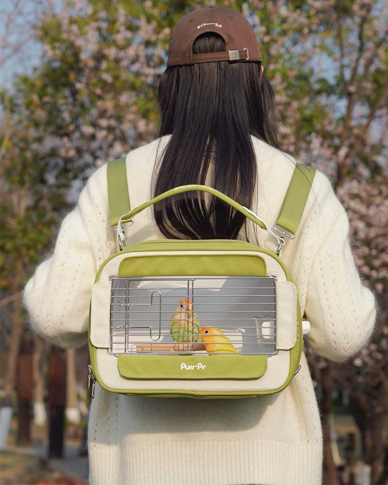 Candy Box Portable Parrot Travel Carrier Bag