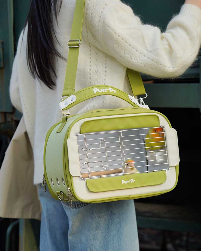 Candy Box Portable Parrot Travel Carrier Bag