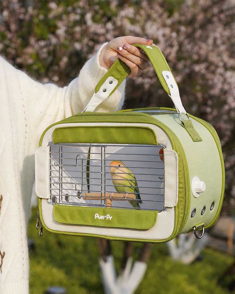 Candy Box Portable Parrot Travel Carrier Bag