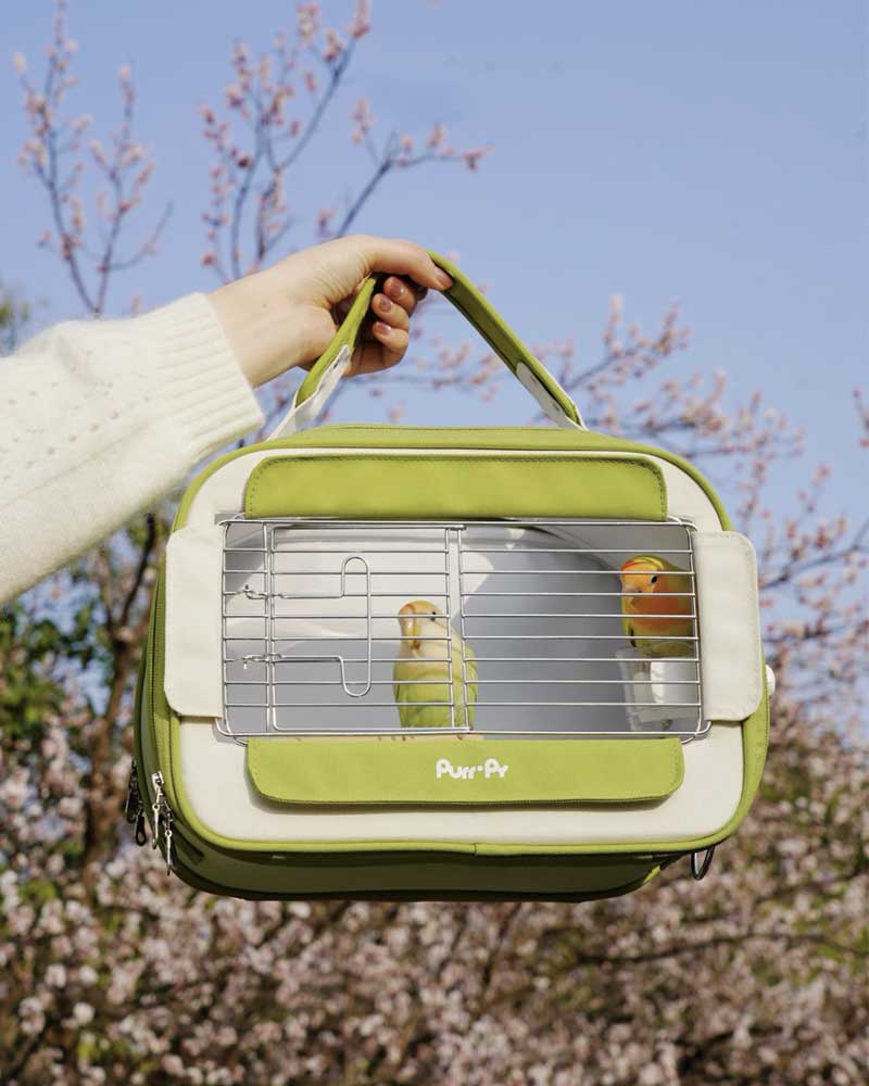 Candy Box Portable Parrot Travel Carrier