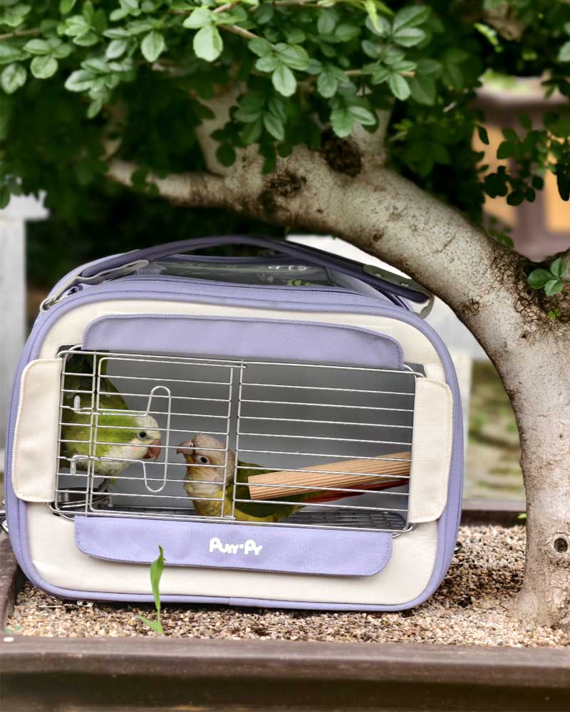 Candy Box Portable Parrot Travel Carrier