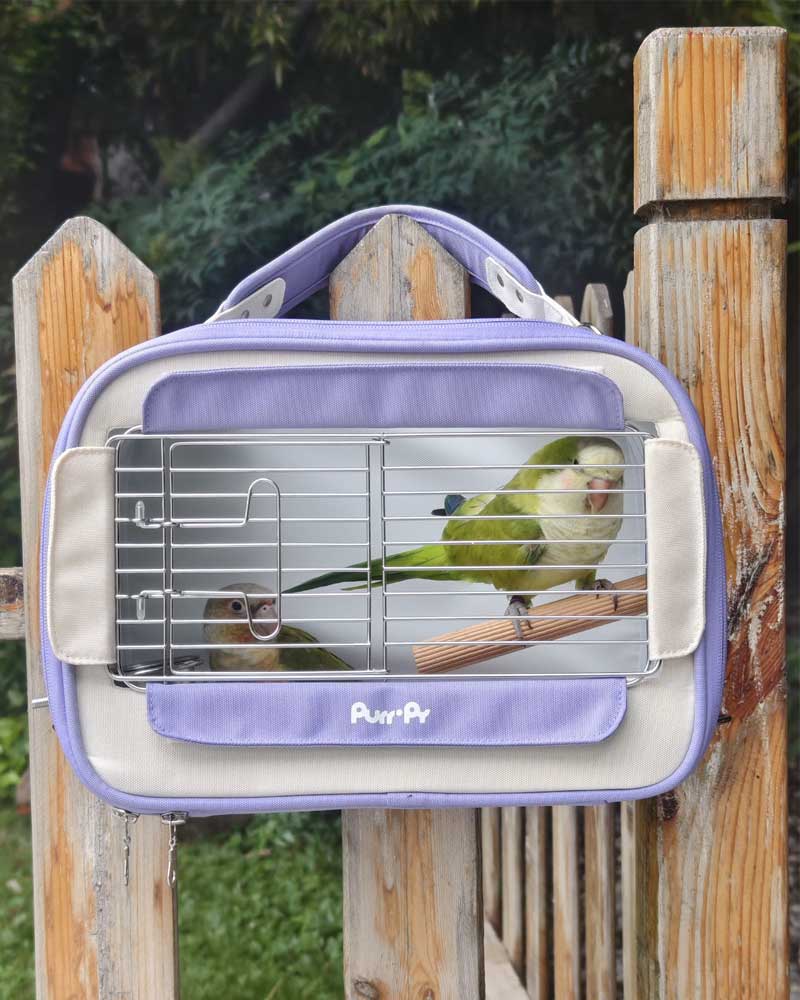 Candy Box Portable Parrot Travel Carrier