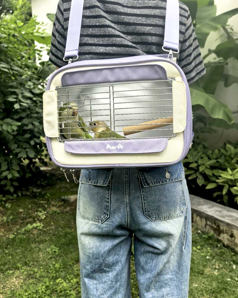 Candy Box Portable Parrot Travel Carrier