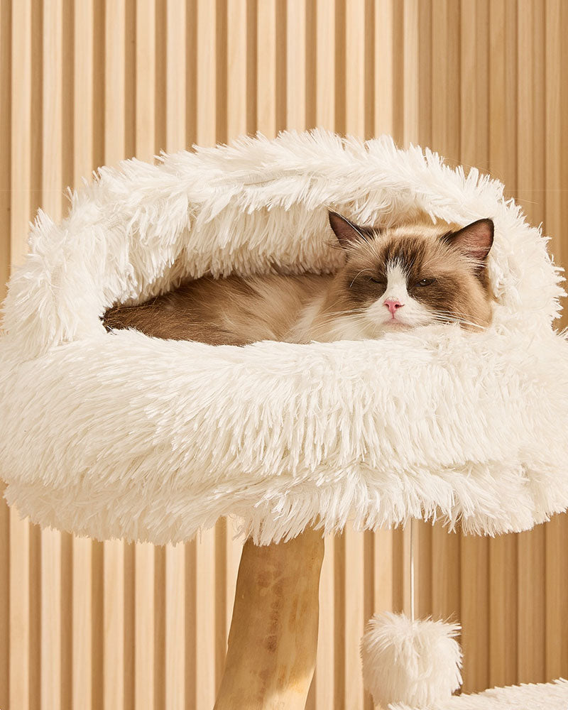 Cloud Solid Wood Cat Tree for Large Cats