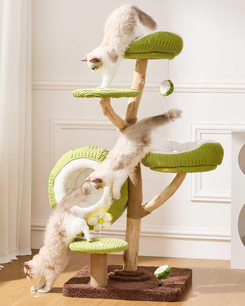 Coconut Green Solid Wood Cat Tree Max