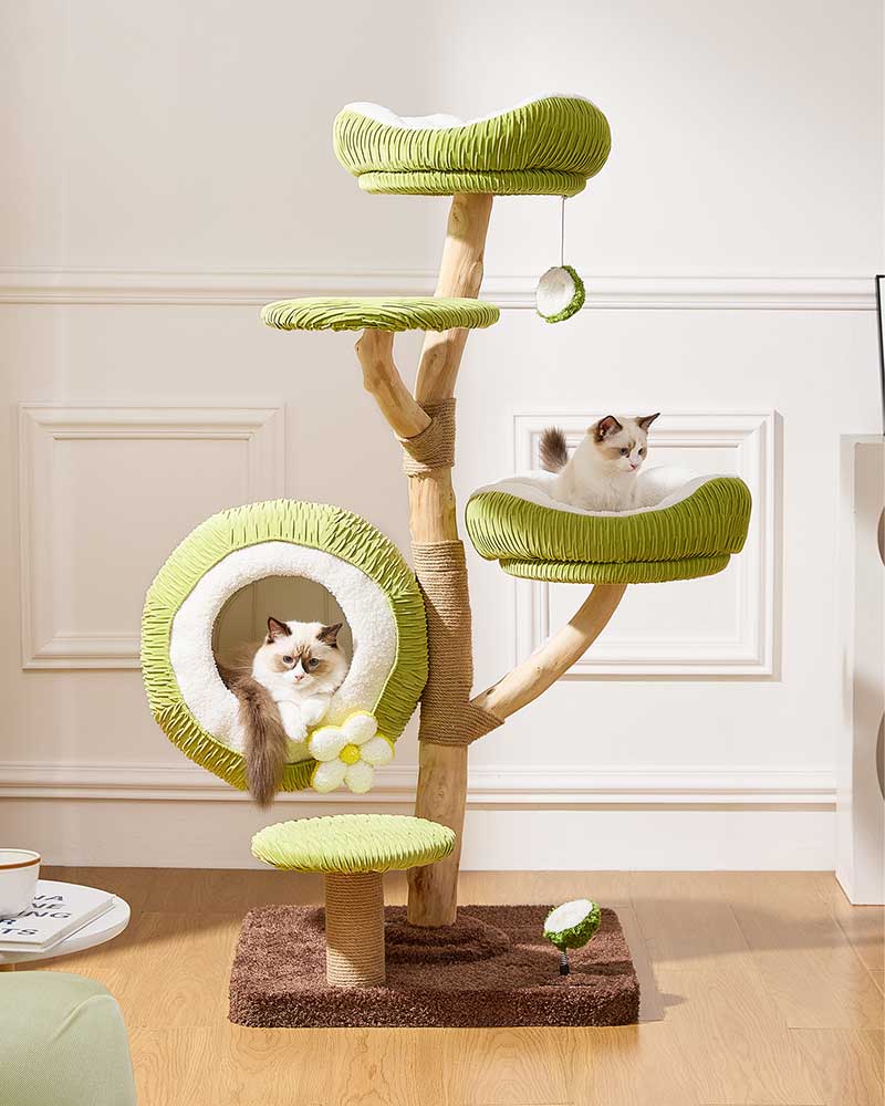 Coconut Green Solid Wood Hammock Cat Tree