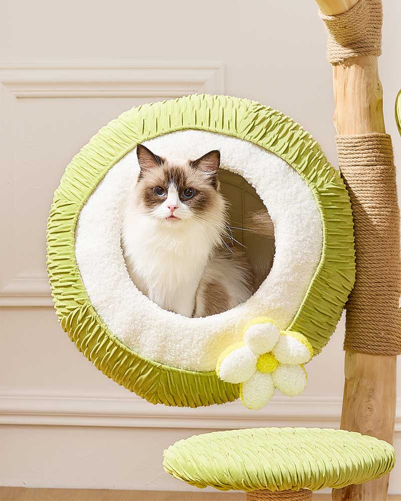 Coconut Green Solid Wood Cat Tree Max