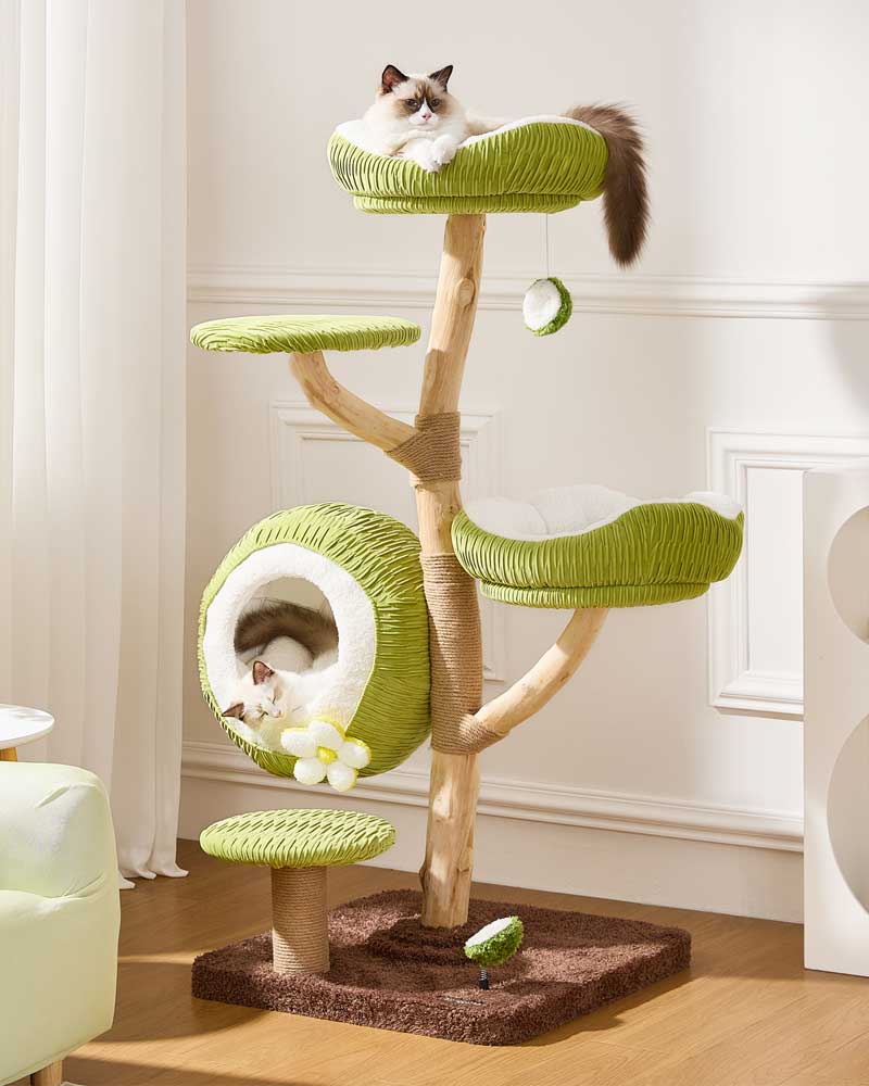 Coconut Green Solid Wood Cat Tree Max