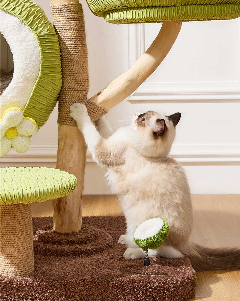 Coconut Green Solid Wood Cat Tree Max