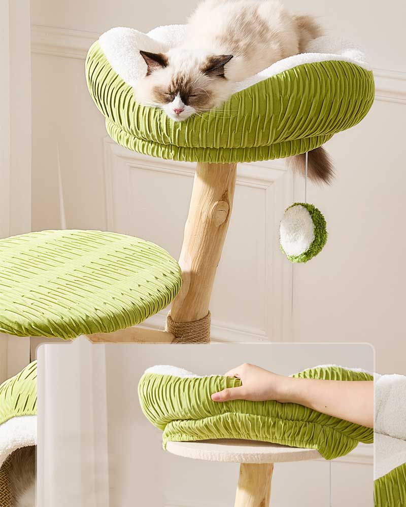 Coconut Green Solid Wood Cat Tree Max