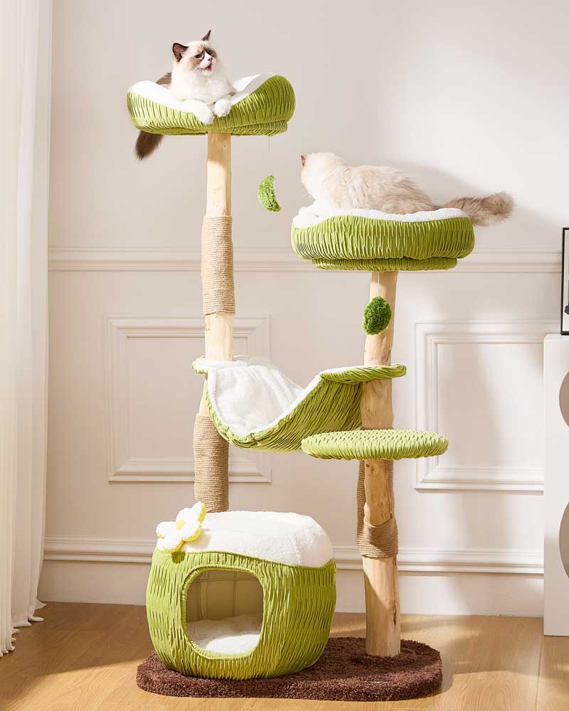 Coconut Green Solid Wood Hammock Cat Tree
