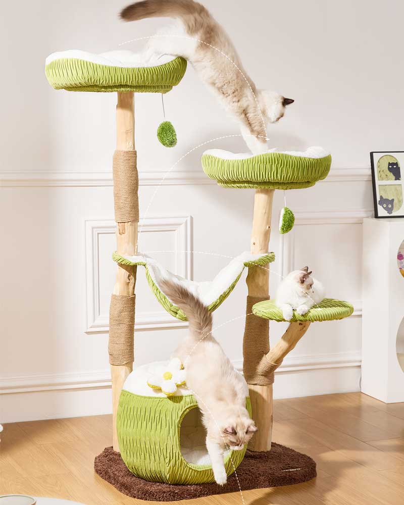 Coconut Green Solid Wood Hammock Cat Tree