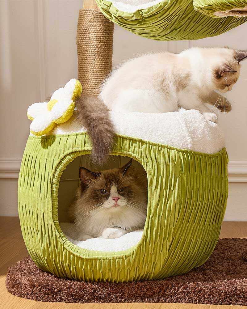 Coconut Green Solid Wood Hammock Cat Tree