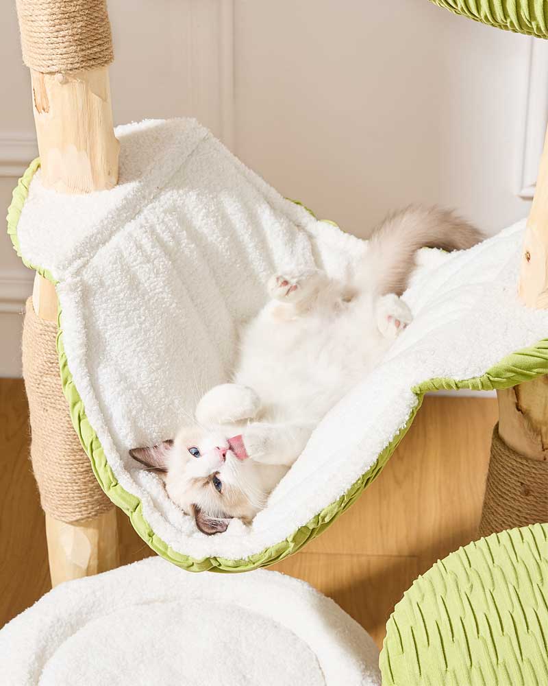 Coconut Green Solid Wood Hammock Cat Tree