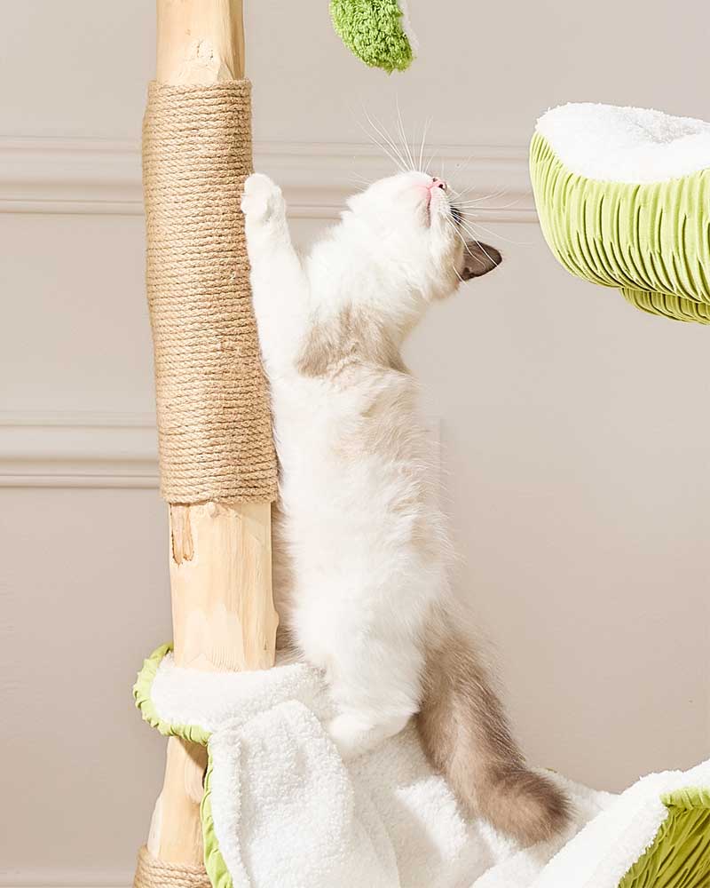 Coconut Green Solid Wood Hammock Cat Tree