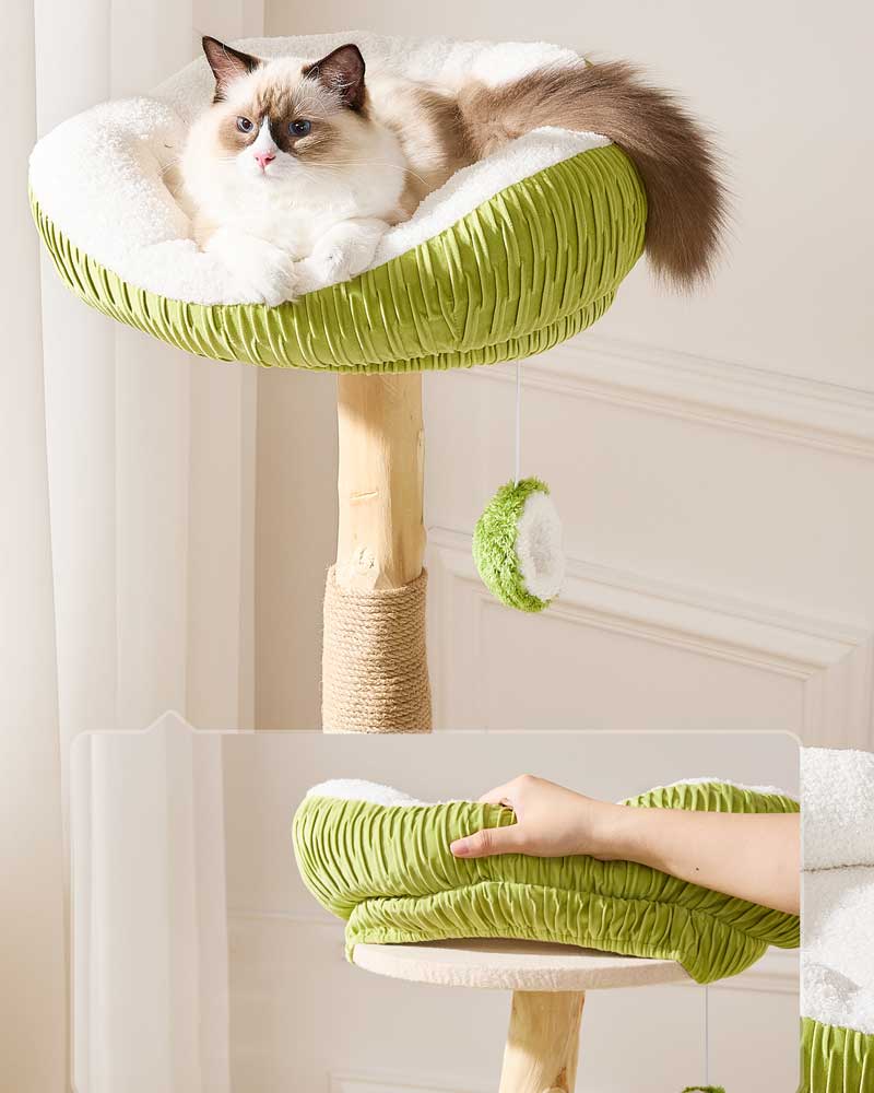 Coconut Green Solid Wood Hammock Cat Tree