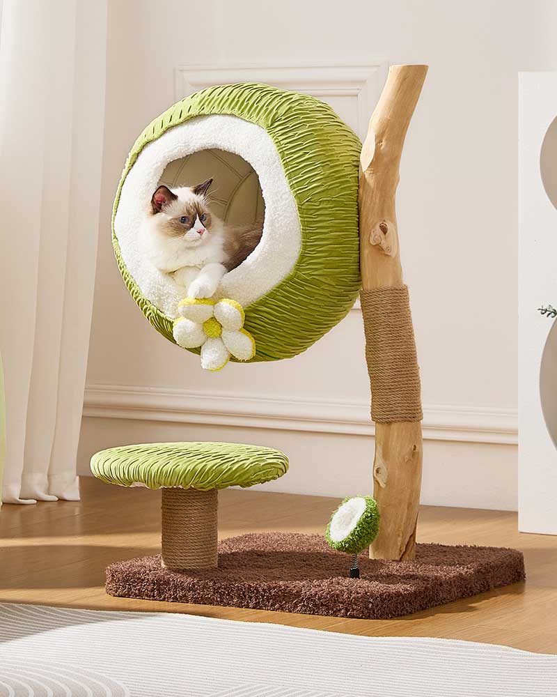 Coconut Green Solid Wood Mini Cat Tree