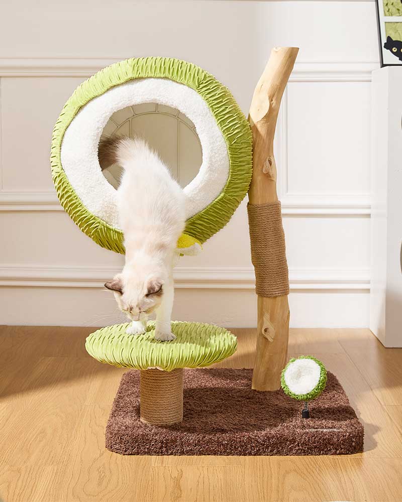 Coconut Green Solid Wood Mini Cat Tree