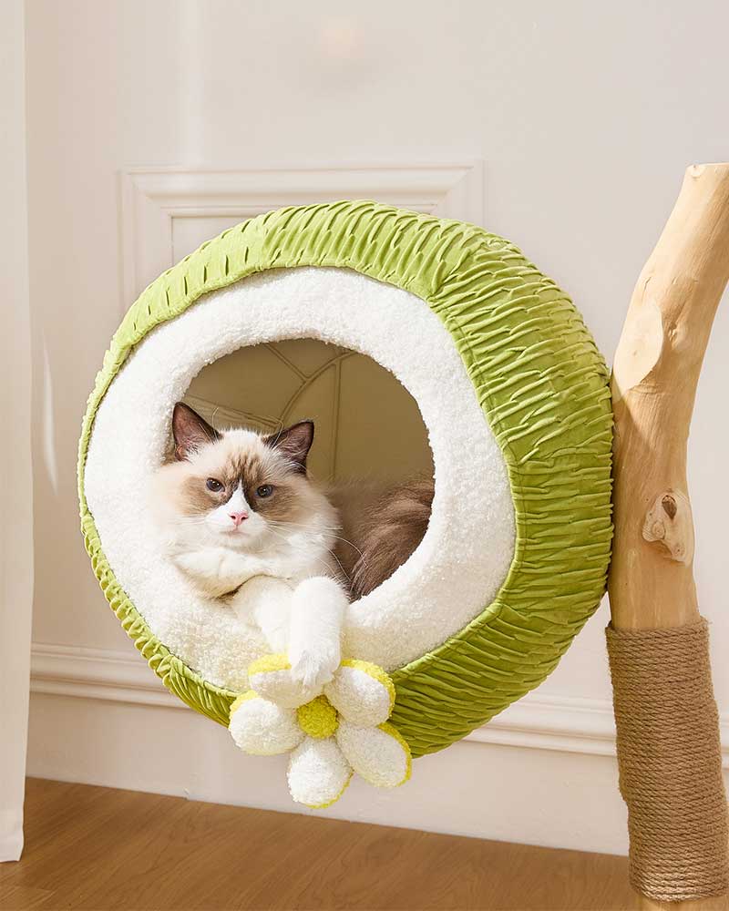 Coconut Green Solid Wood Mini Cat Tree