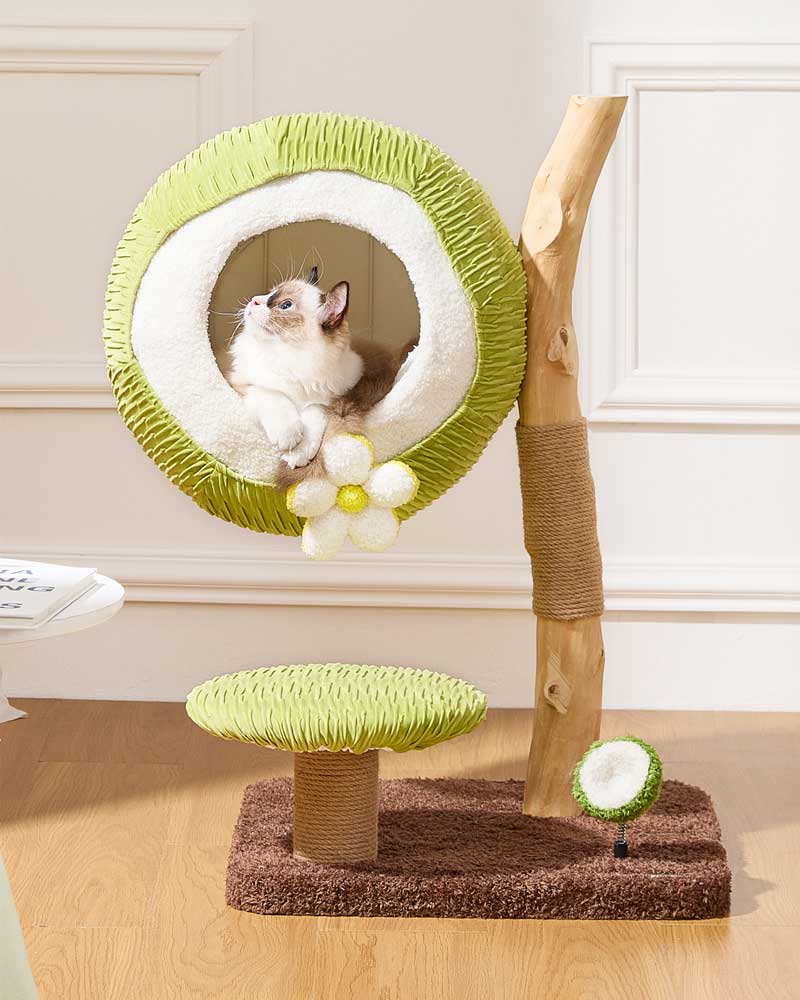 Coconut Green Solid Wood Mini Cat Tree
