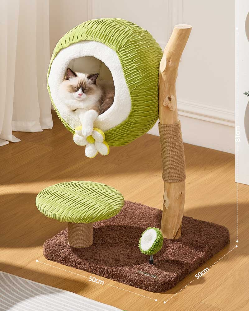 Coconut Green Solid Wood Mini Cat Tree