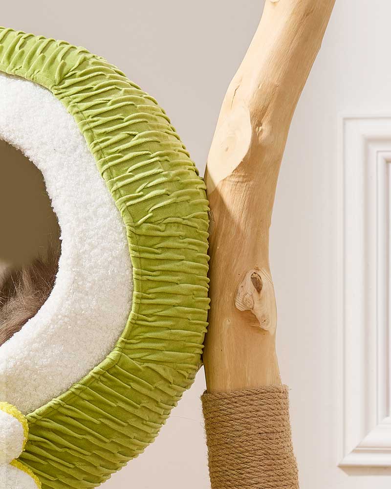 Coconut Green Solid Wood Mini Cat Tree