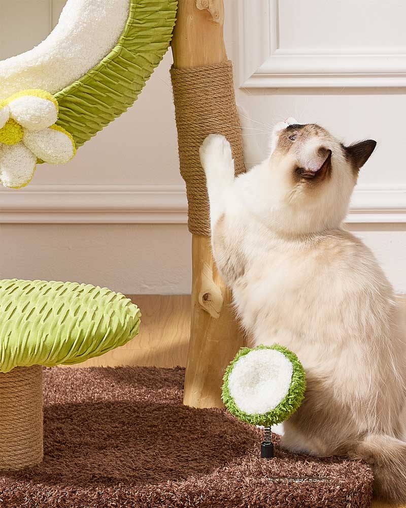 Coconut Green Solid Wood Mini Cat Tree