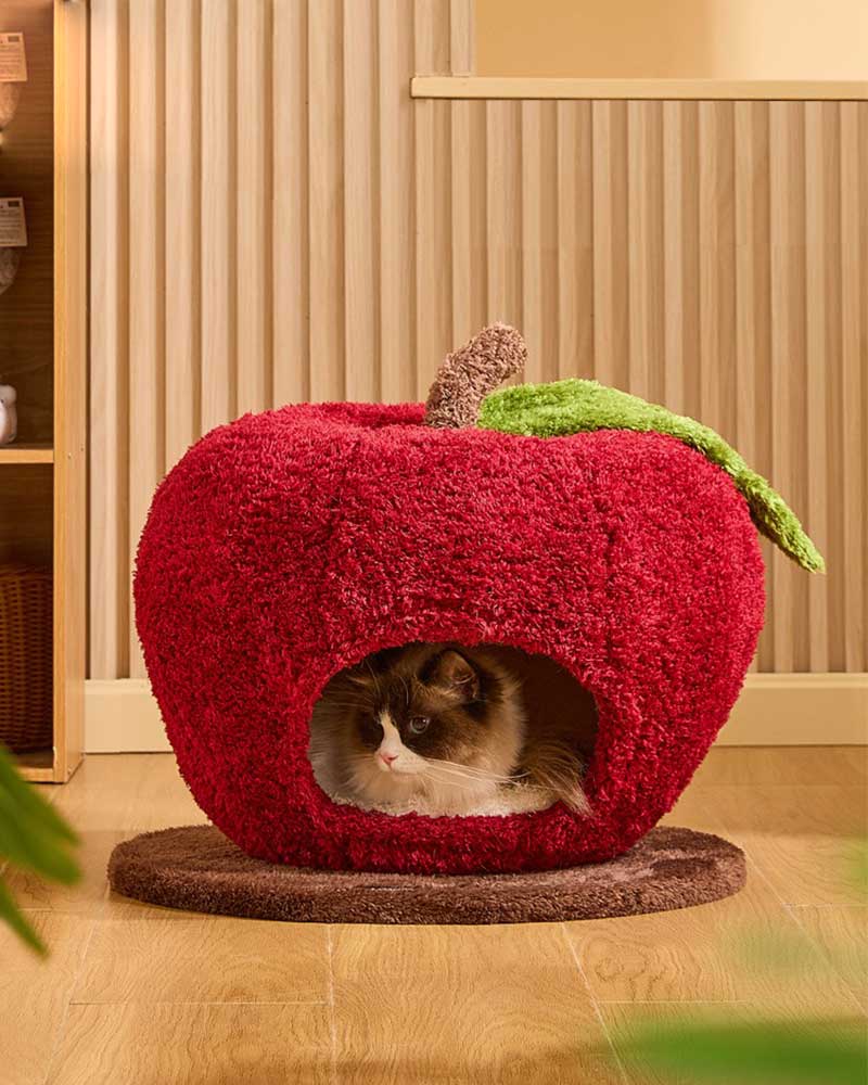 Comfy Apple Cat Cave Bed for Indoor Cats
