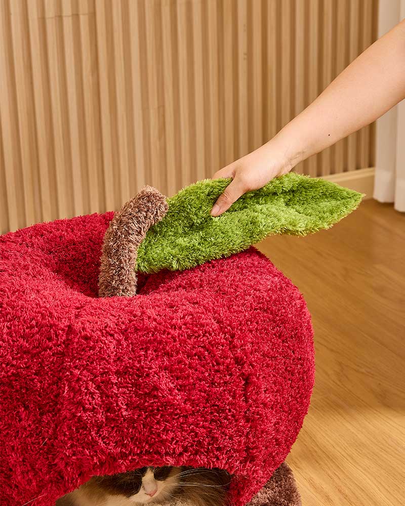 Comfy Apple Cat Cave Bed for Indoor Cats