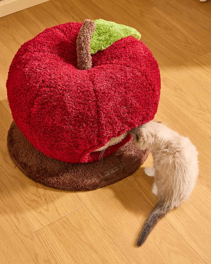 Comfy Apple Cat Cave Bed for Indoor Cats