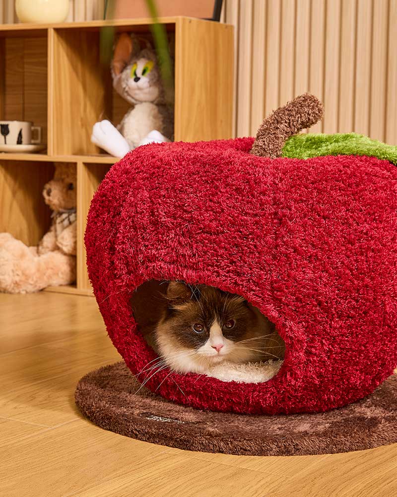 Comfy Apple Cat Cave Bed for Indoor Cats