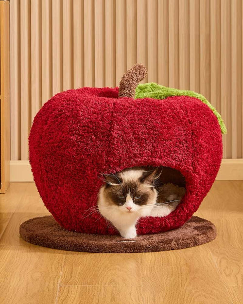 Comfy Apple Cat Cave Bed for Indoor Cats