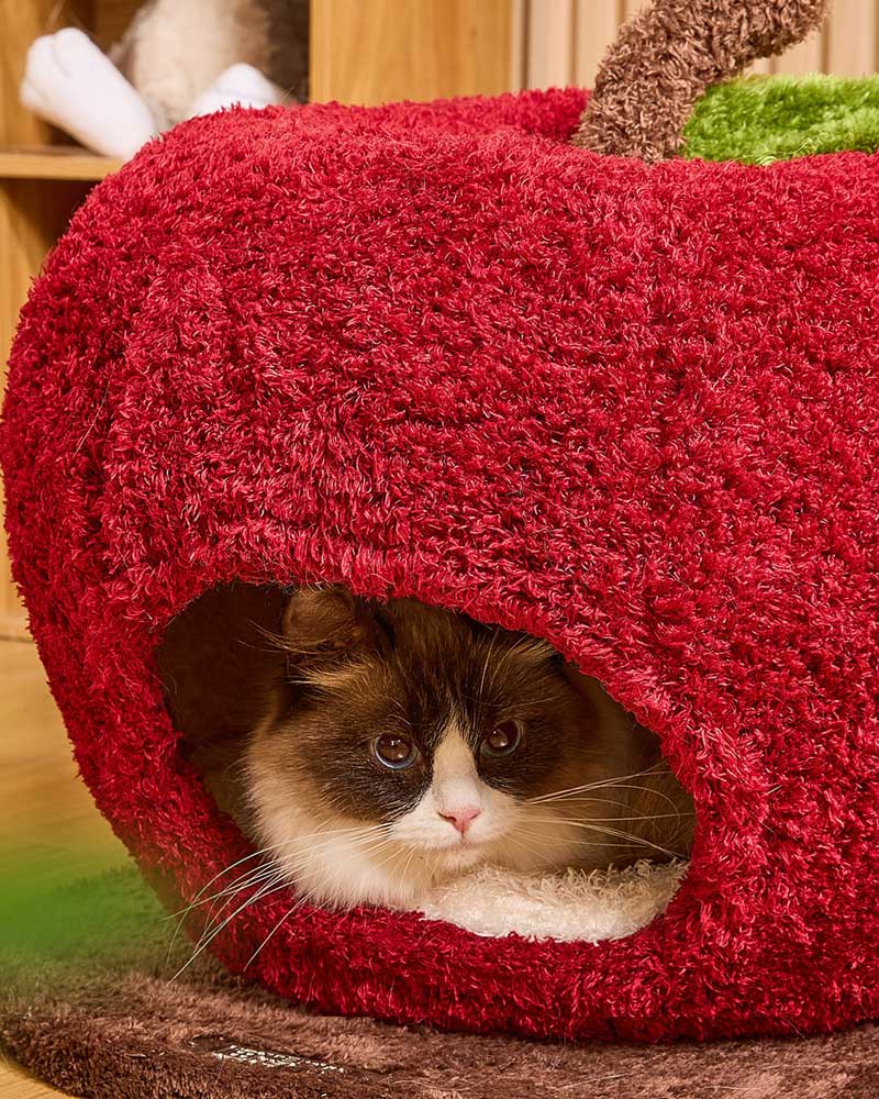 Comfy Apple Cat Cave Bed for Indoor Cats