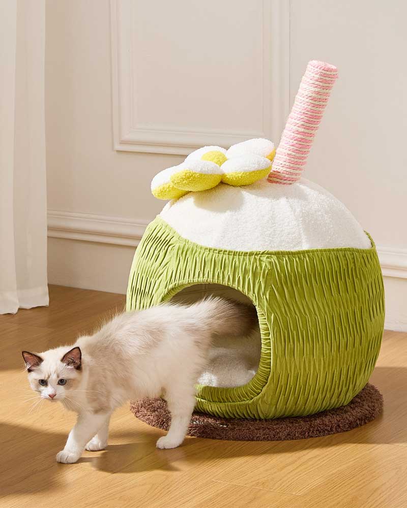 Cozy Coconut Cat Bed Hideaway