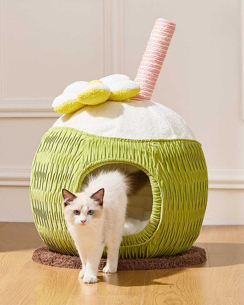 Cozy Coconut Cat Bed Hideaway