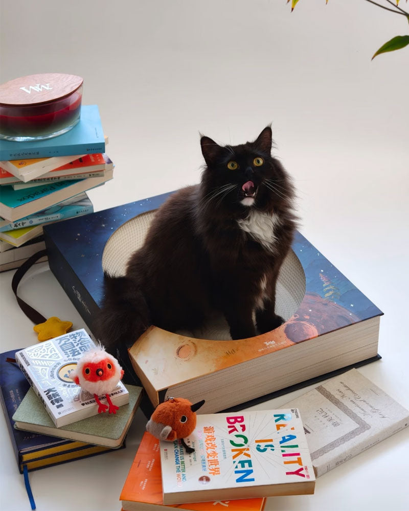 Creative Spellbook Cat Scratching Bed