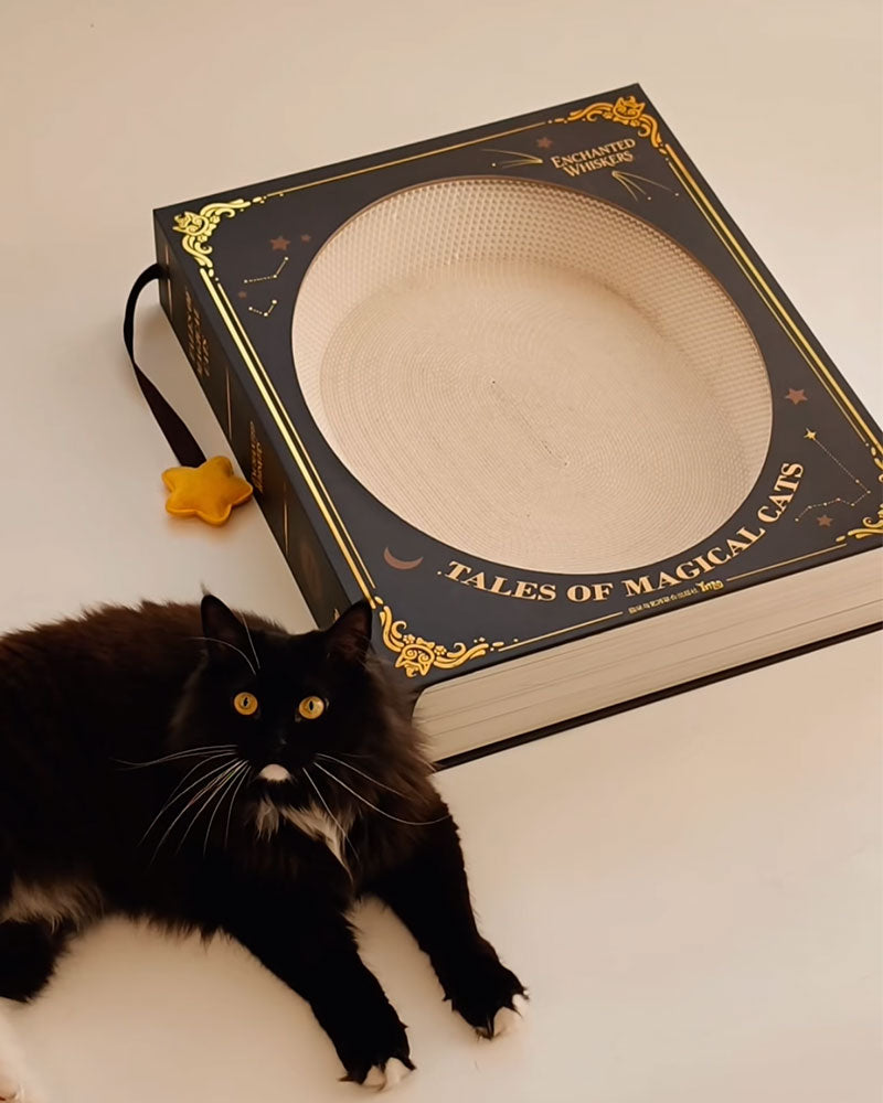 Creative Spellbook Cat Scratching Bed